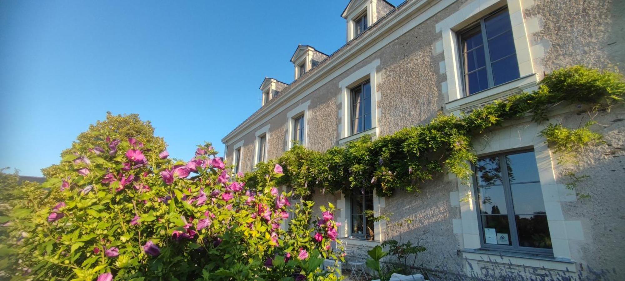 Bed and Breakfast La Demeure De L'Aubance Saint-Mélaine-sur-Aubance Exterior foto